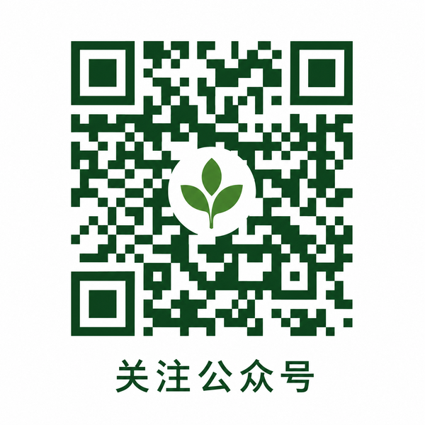 暗网